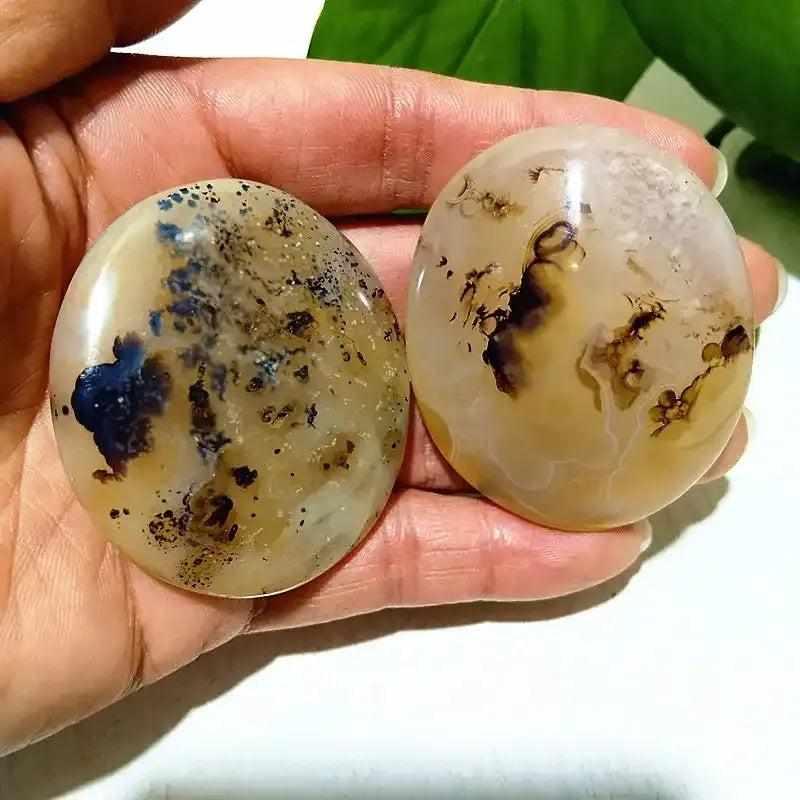 Two smooth, hand-polished Tree Agate palm stones with cream bodies and green, plant-like markings for grounding energy.