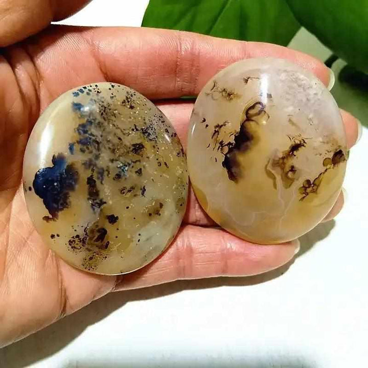Two smooth, hand-polished Tree Agate palm stones with cream bodies and green, plant-like markings for grounding energy.