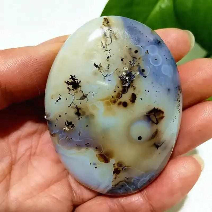 Smooth, polished Tree Agate palm stone with cream and blue tones, featuring unique branching patterns for grounding energy.
