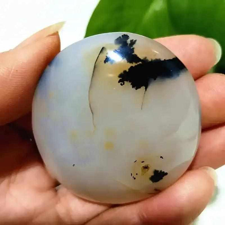 Smooth, hand-polished Tree Agate palm stone featuring cream tones and grounding green, plant-like branching patterns.