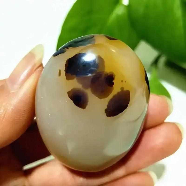Smooth Tree Agate palm stone with cream body and dark green, plant-like markings for grounding and steady growth.