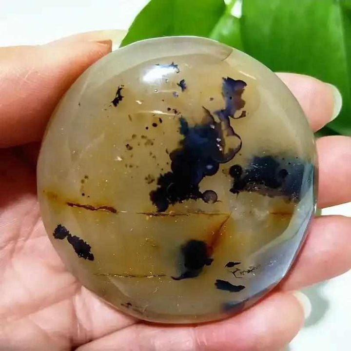 Smooth, hand-polished Tree Agate palm stone with cream tones and grounding green, plant-like branching inclusions.