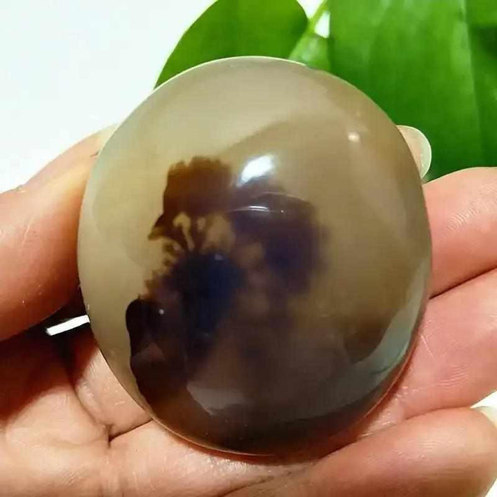 Smooth, polished Tree Agate palm stone with cream tones and dark, grounding plant-like inclusions held in a hand.