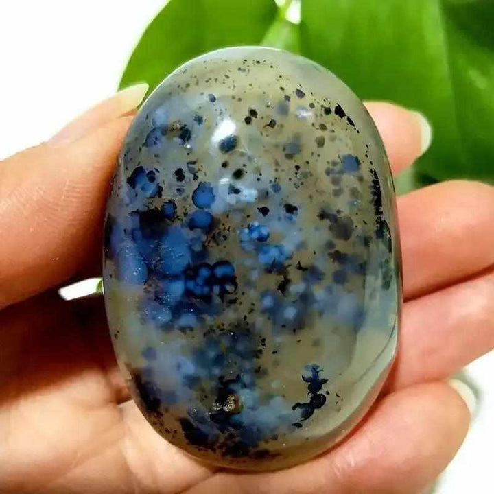 Smooth, hand-polished Tree Agate palm stone featuring cream tones and grounding green, plant-like branching patterns.