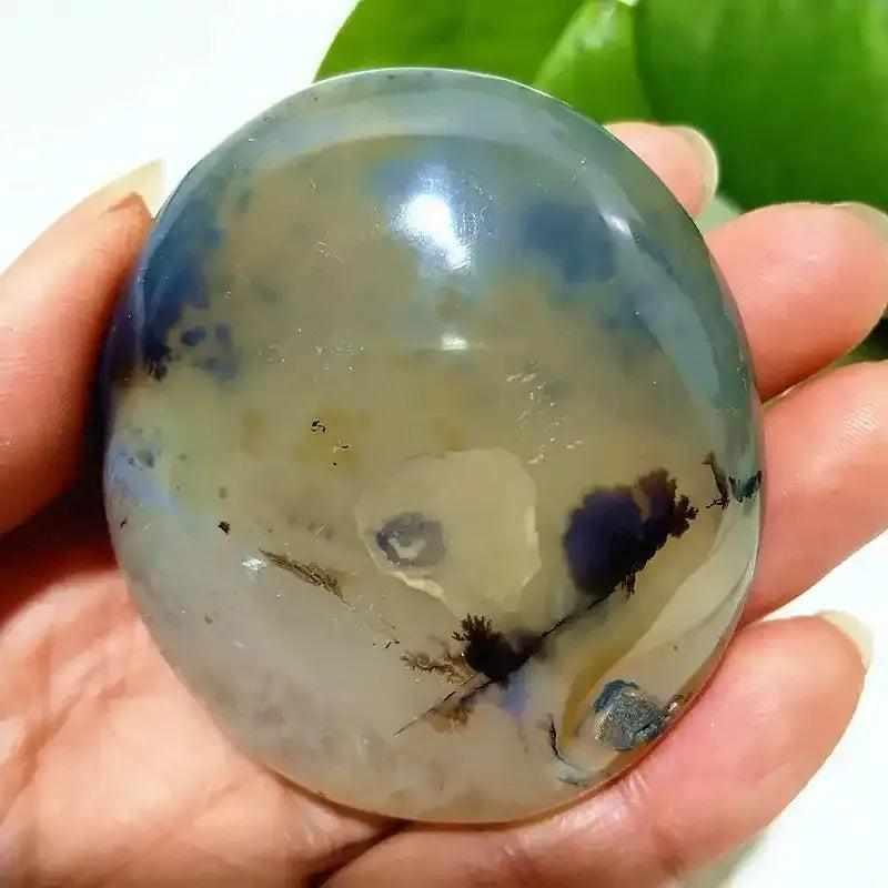 Smooth, hand-polished Tree Agate palm stone with cream tones and green, plant-like markings for grounding and growth.