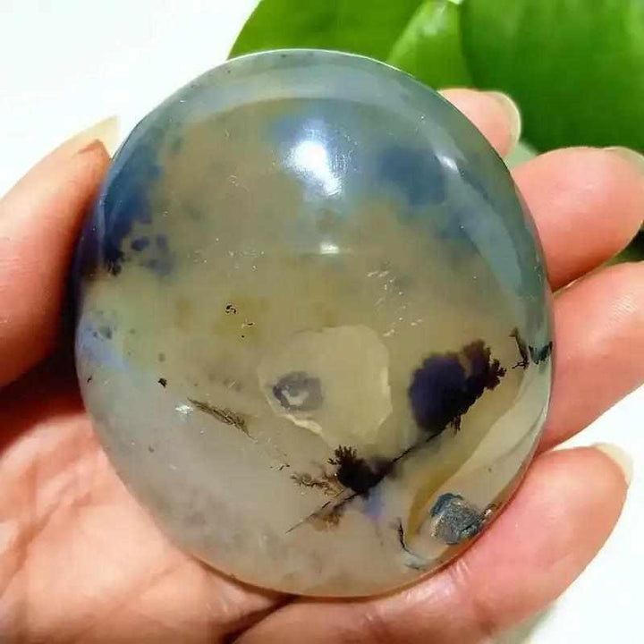 Smooth, hand-polished Tree Agate palm stone with cream tones and green, plant-like markings for grounding and growth.