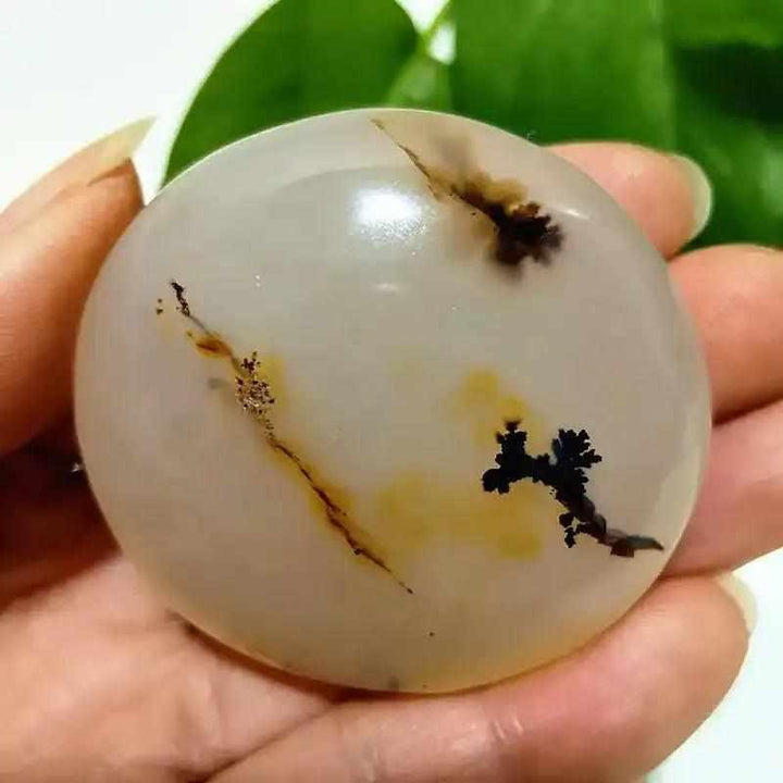 Smooth, cream-colored Tree Agate palm stone featuring unique green, plant-like dendritic inclusions for grounding energy.