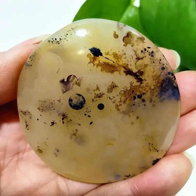 Smooth, hand-polished Tree Agate palm stone with cream-colored base and intricate, grounding green plant-like markings.