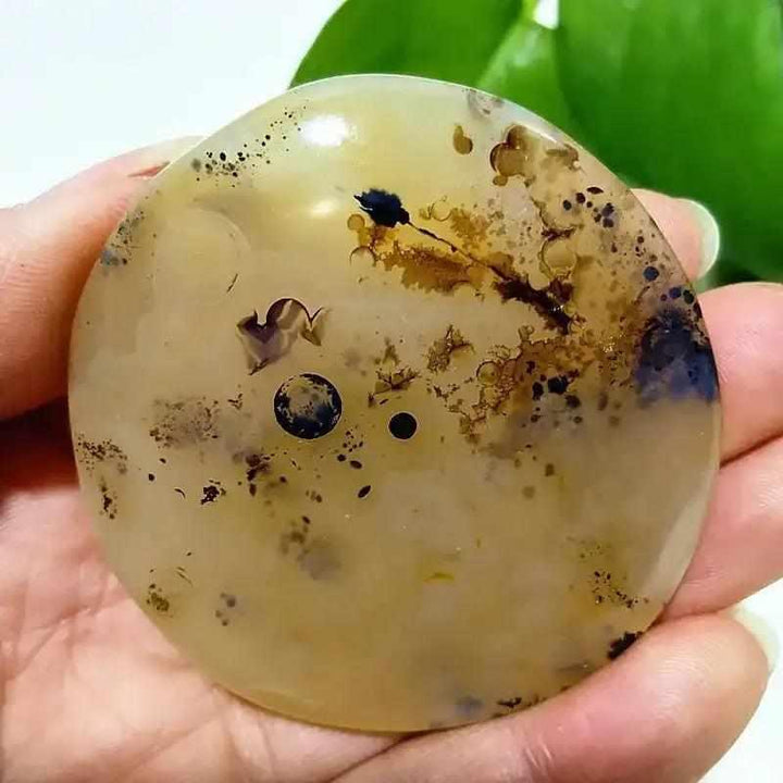 Smooth, hand-polished Tree Agate palm stone with cream-colored base and intricate, grounding green plant-like markings.