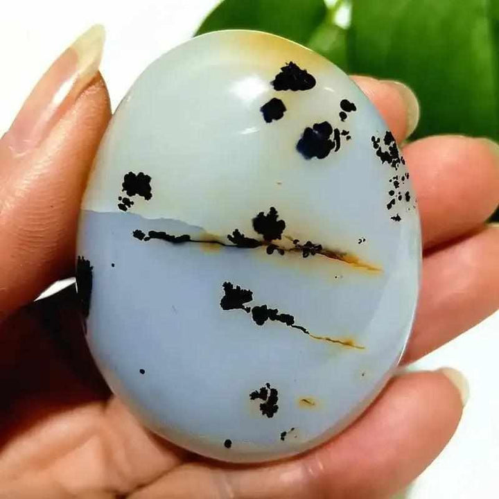 Smooth, hand-polished Tree Agate palm stone with cream and blue tones and unique, grounding plant-like markings.