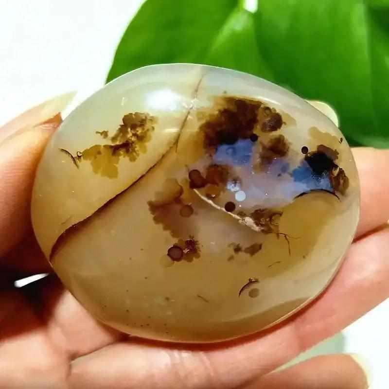 Smooth, hand-polished Tree Agate palm stone with cream tones and grounding green plant-like markings for meditation.