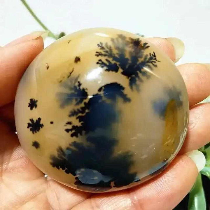 Smooth, hand-polished Tree Agate palm stone with cream base and green, branching plant-like patterns for grounding.