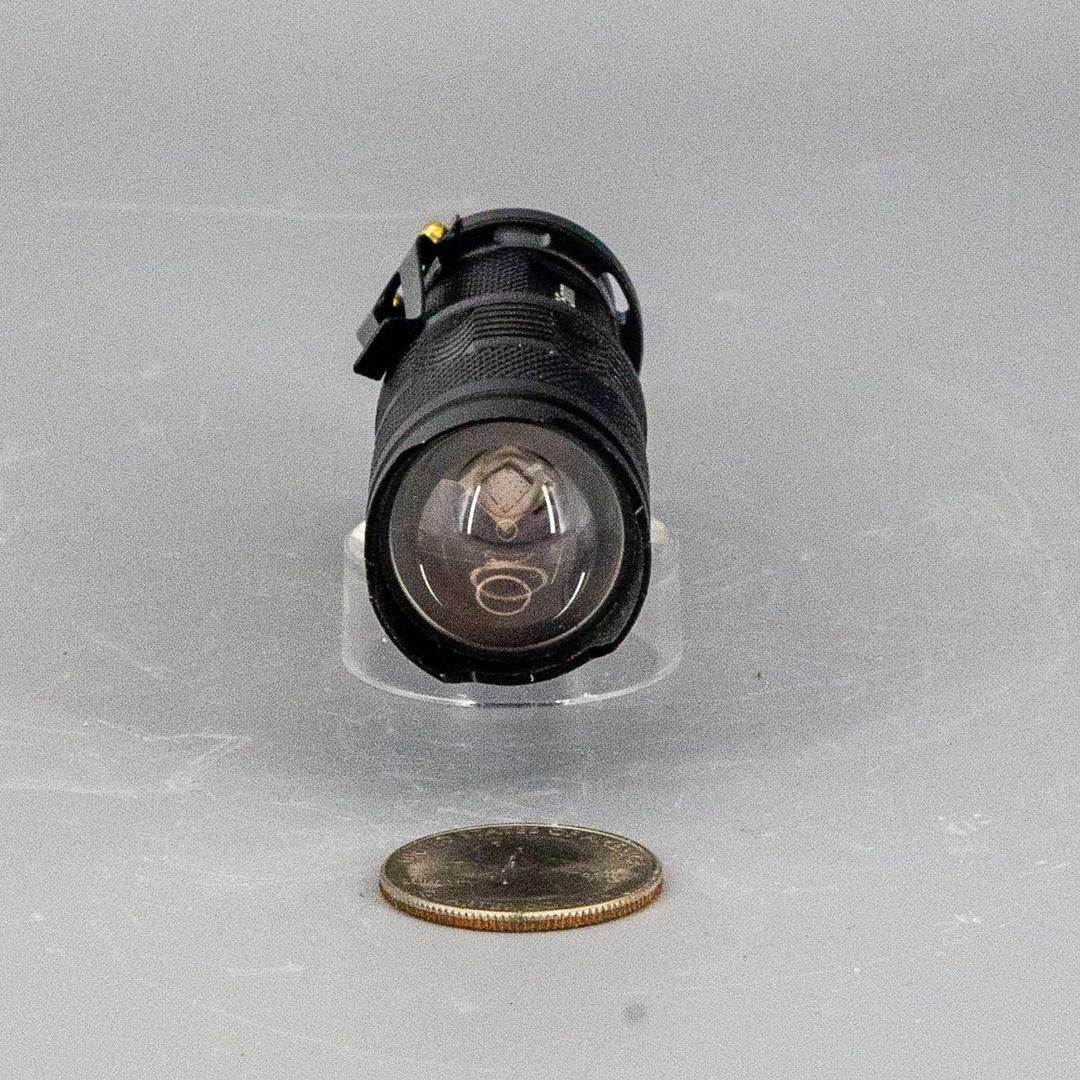 Compact black UV-365nm AA battery flashlight with clear lens, shown next to a quarter for scale.