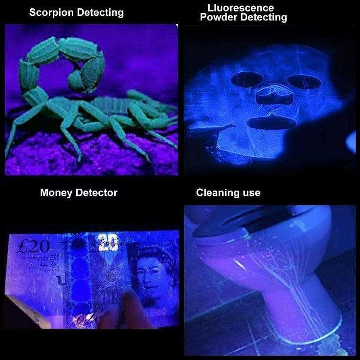 Four panels showing a UV-365nm AA flashlight detecting scorpions, fluorescence powder, money, and for cleaning.