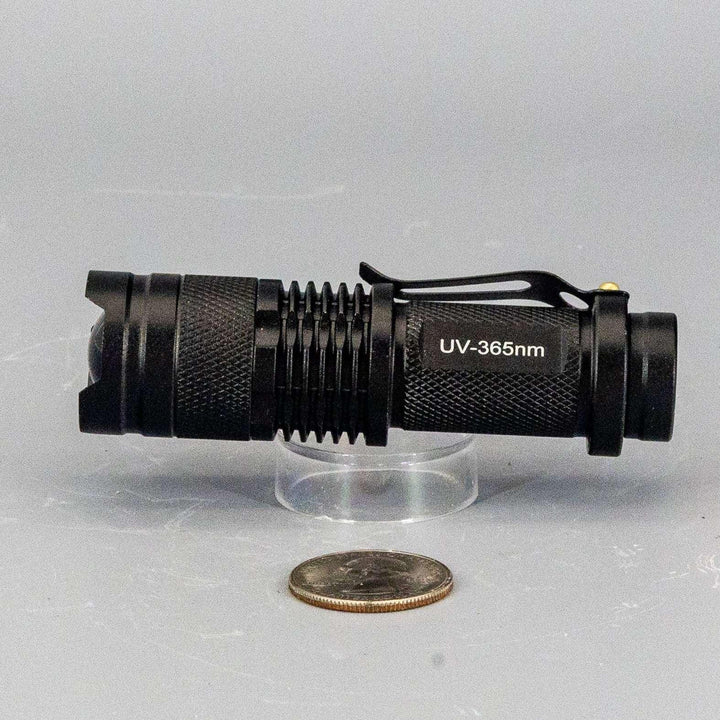 Black UV-365nm AA battery flashlight with pocket clip, resting on a clear stand next to a coin.