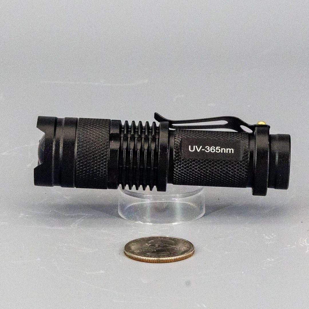 Compact black UV-365nm AA flashlight with textured grip, clip, and gold accents, next to a coin for scale.