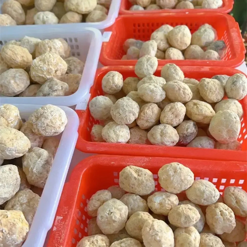 Unopened Agate Geode - Crack Your Own-Geodes-Ali-Agate-1pc 4-5cm-Crystal Destiny