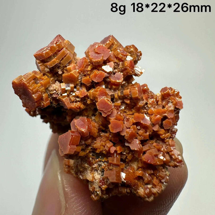 Vivid red hexagonal Vanadinite crystal specimen on natural matrix, perfect for Root Chakra energy and mineral collections.