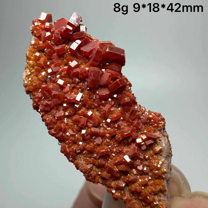 Vivid red hexagonal Vanadinite crystal specimen on natural matrix, perfect for Root Chakra energy and mineral collections.