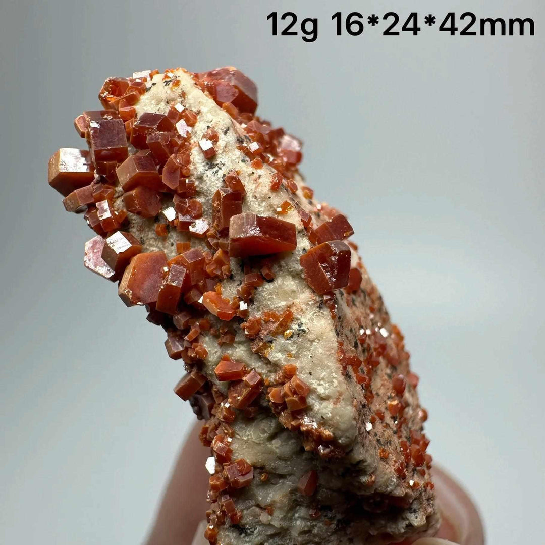 Vivid red hexagonal Vanadinite crystal specimen on natural matrix, perfect for Root Chakra energy and mineral collections.
