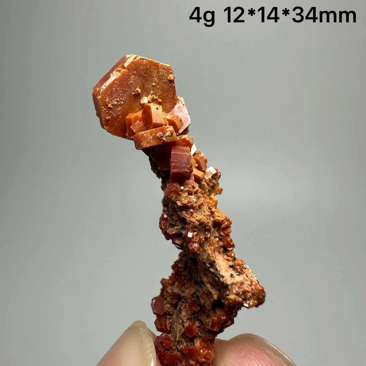 Vivid red hexagonal Vanadinite crystal specimen on natural matrix, perfect for Root Chakra energy and mineral collections.