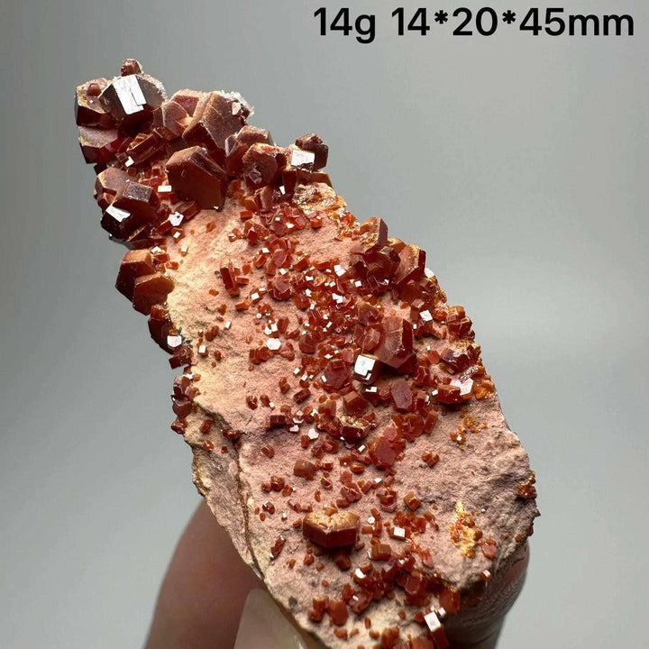 Vivid red hexagonal Vanadinite crystal specimen on natural matrix, perfect for Root and Sacral Chakra energy and display.