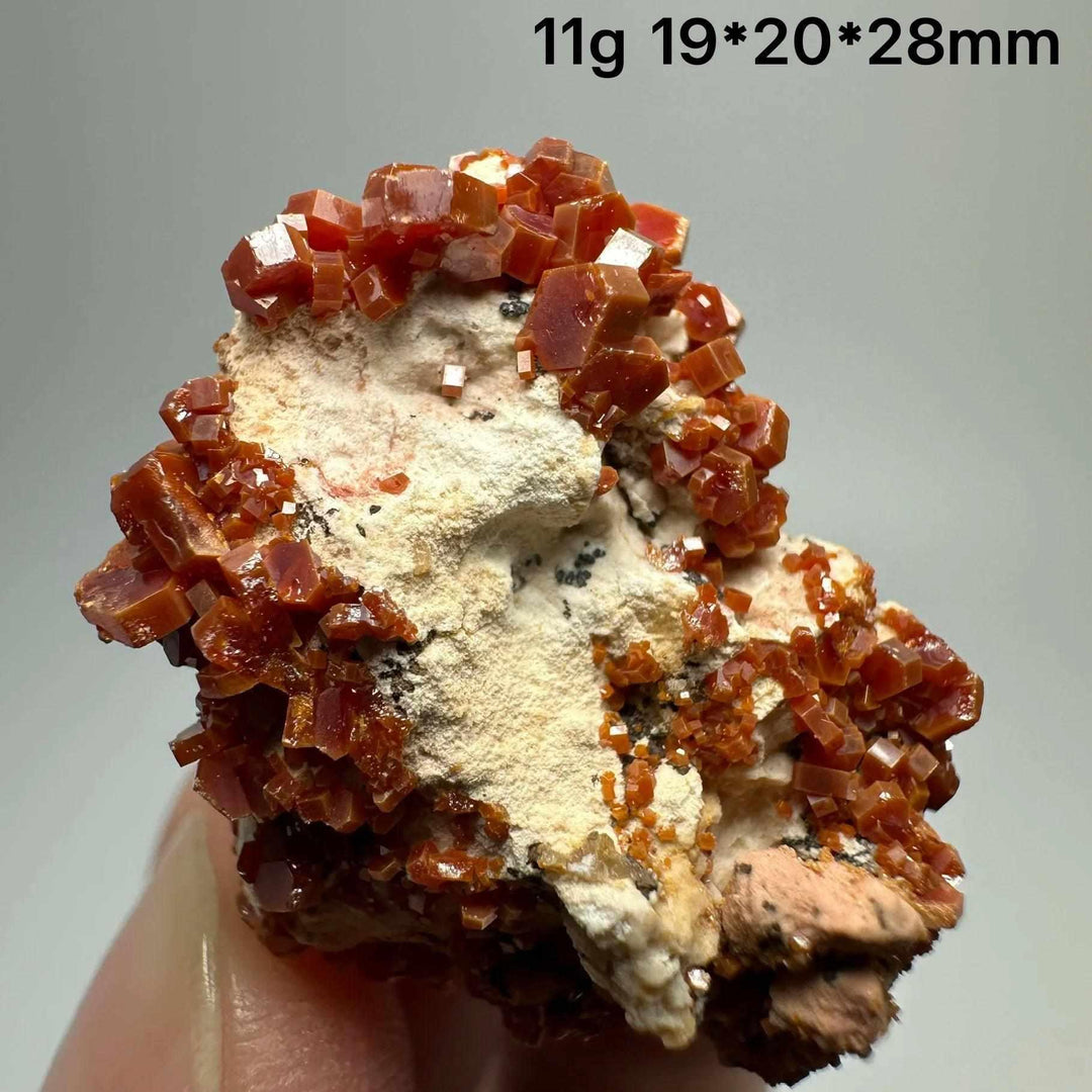 Vivid red hexagonal Vanadinite crystal specimen on natural matrix, perfect for Root Chakra energy and mineral collections.