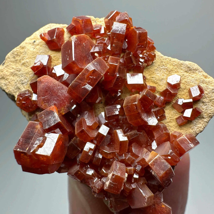 Vivid red hexagonal Vanadinite crystal specimen on a natural matrix, perfect for Root Chakra energy and display.