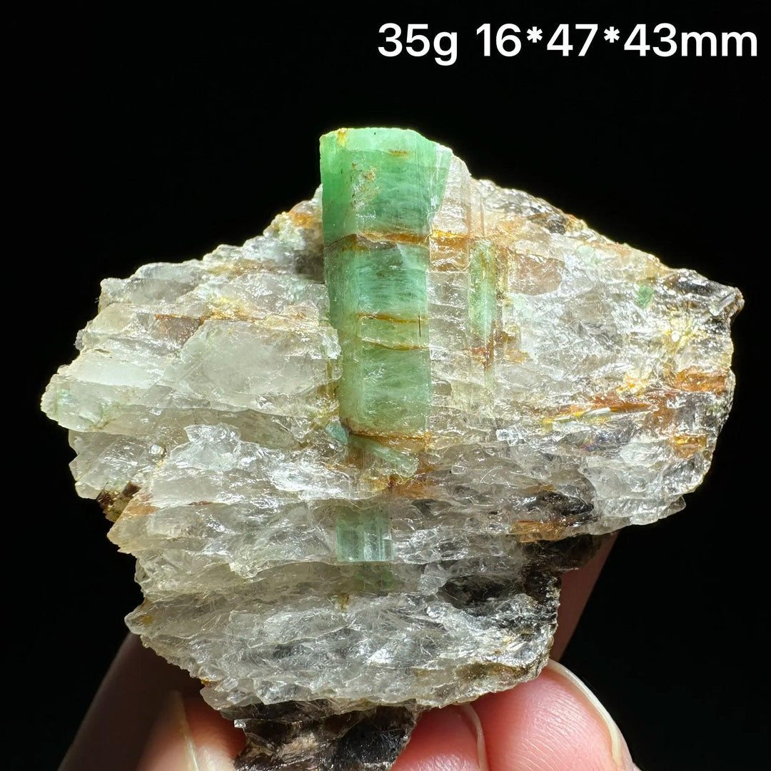 Natural verdite mineral specimen with a deep green crystal point on a raw, textured base for grounding and heart chakra.
