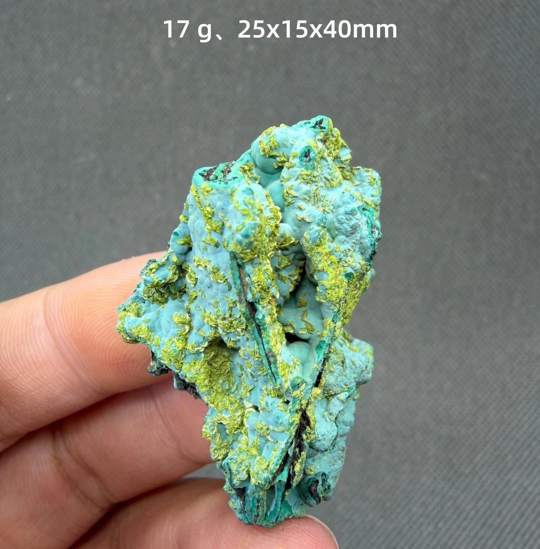 Volborthite with Malachite Mineral Specimen