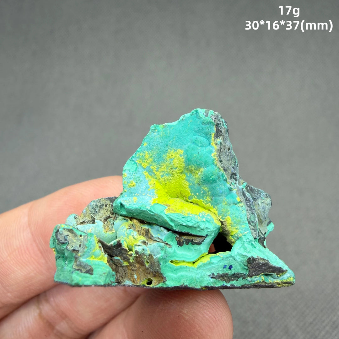 Volborthite with Malachite Mineral Specimen