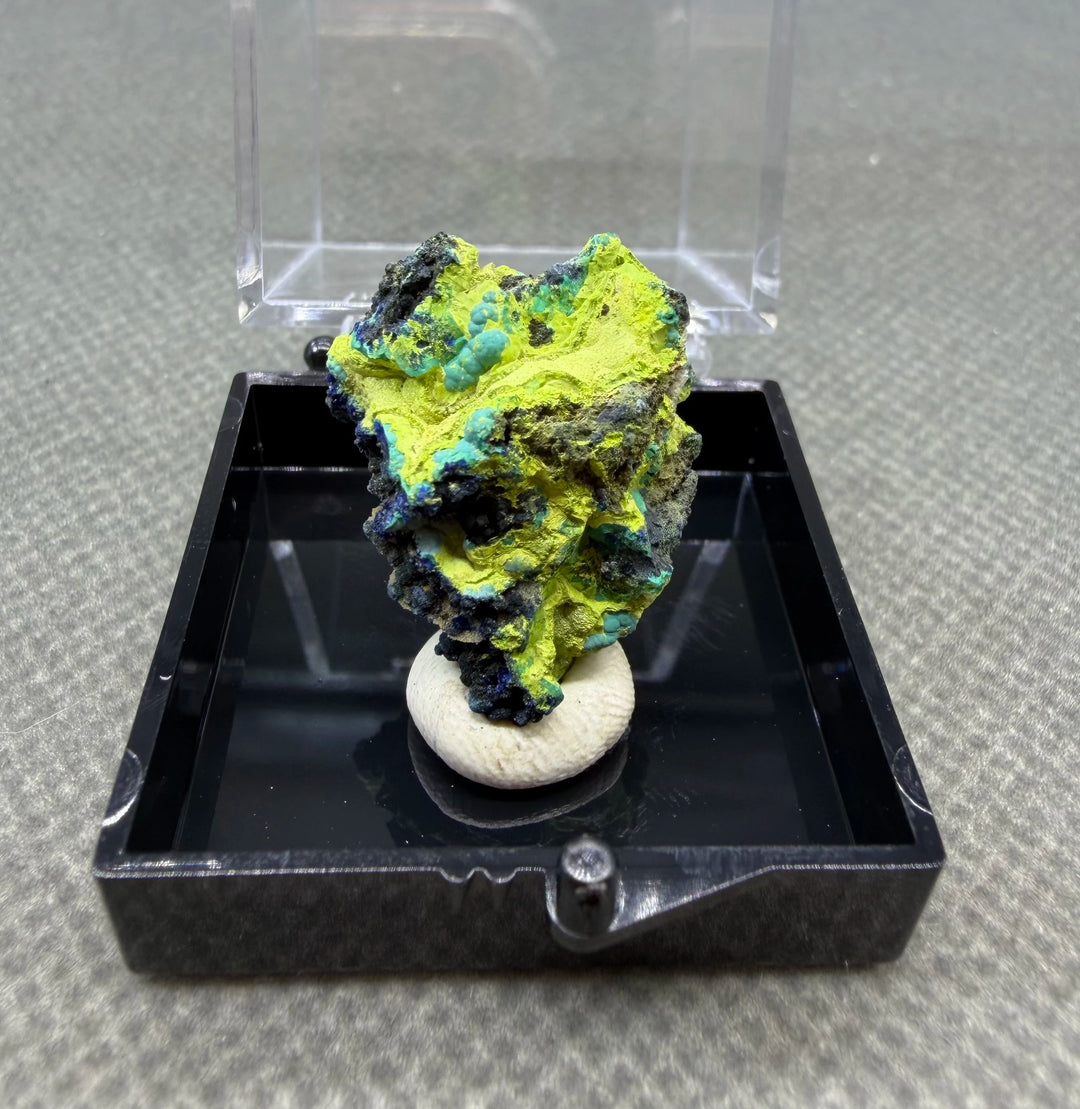 Volborthite with Malachite Mineral Specimen