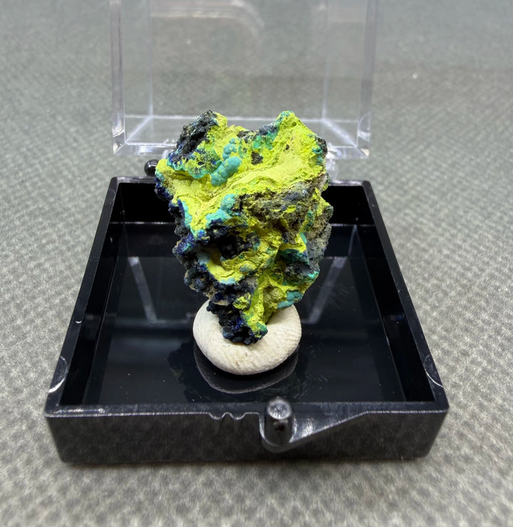 Volborthite with Malachite Mineral Specimen