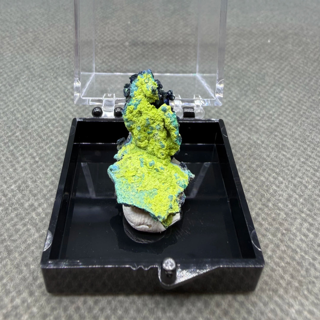Volborthite with Malachite Mineral Specimen