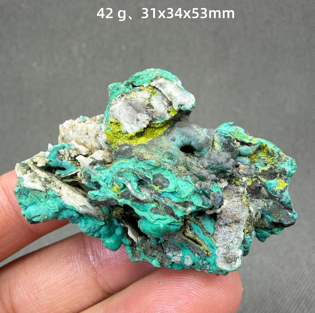 Volborthite with Malachite Mineral Specimen