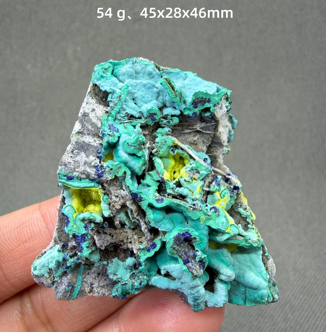 Volborthite with Malachite Mineral Specimen