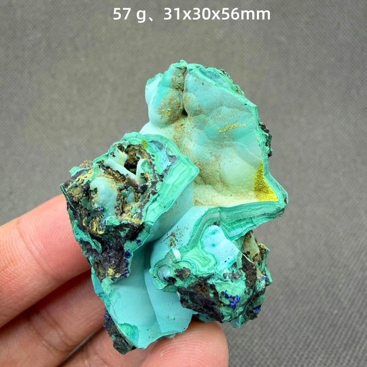 Volborthite with Malachite Mineral Specimen