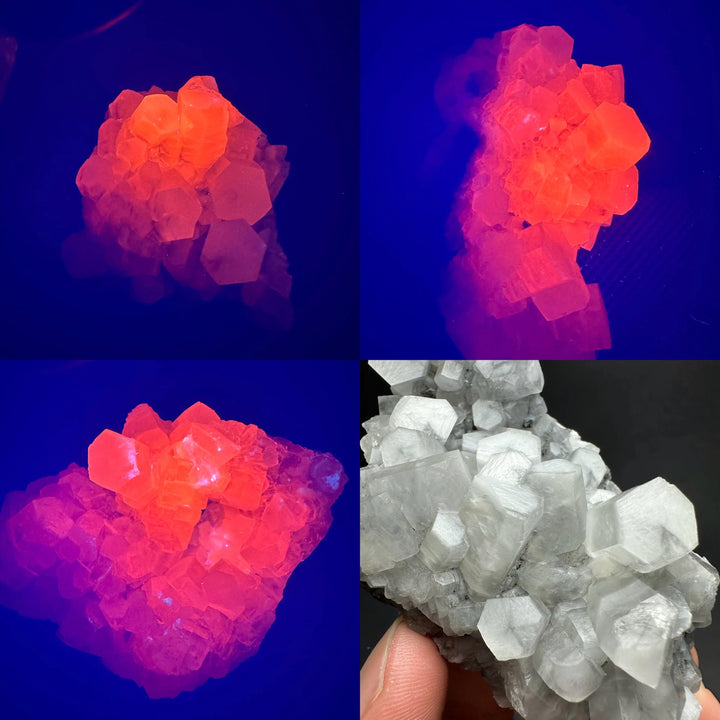 Fluorescent white calcite crystal cluster glowing bright pink under UV light for healing and reiki.