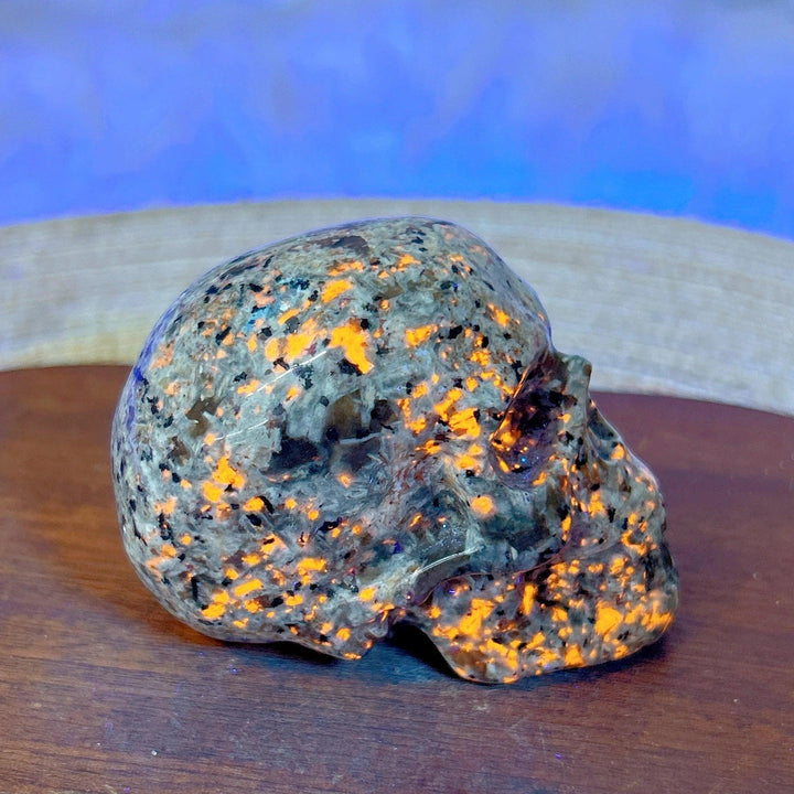Yooperlite Crystal Carved Skull glowing vivid orange under UV light, a striking piece for collectors.