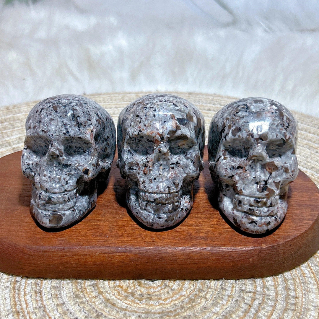 Three detailed Yooperlite crystal skulls, grey with dark speckles, on a wooden display.